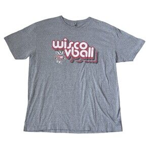 Wisconsin Badgers Wisco vs All Graphic T-Shirt Gray XL
